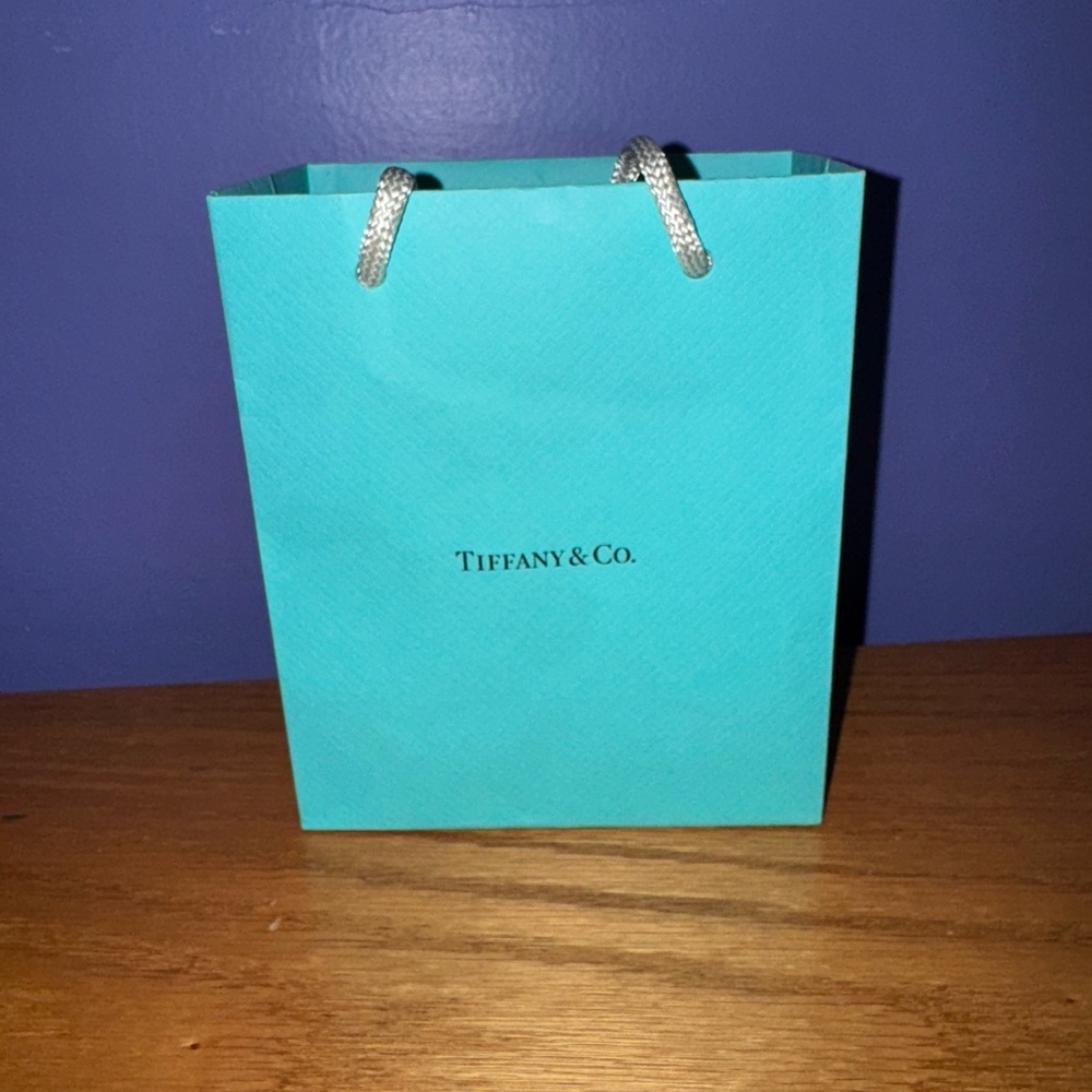 Tiffany & Co. Turquoise Shopping Bag